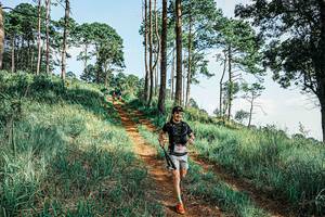 BIB: 
                            <button type="button" onclick="openModal(25675053)" class="btn btn-primary btn-sm float-right btn-popup" data-toggle="modal" data-target=".modal-high-quality">
                        <i class="fas fa-shopping-cart"></i> Add to Cart
                    </button>
                                            <button type="button" onclick="isThisMe(25675053, true)" class="btn btn-success btn-sm float-right btn-popup btn-isme hidden" data-toggle="tooltip" data-placement="bottom" title="นี่คือรูปของคุณใช่ไหม คลิกที่นี่เพื่อเอาเข้าอัลบั้ม">
                        <i class="fas fa-plus"></i> Add to album
                    </button>
                    <button type="button" onclick="isThisMe(25675053, false)" class="btn btn-warning btn-sm float-right btn-popup btn-isnotme hidden">
                        <i class="fas fa-ban"></i> Remove from album
                    </button>